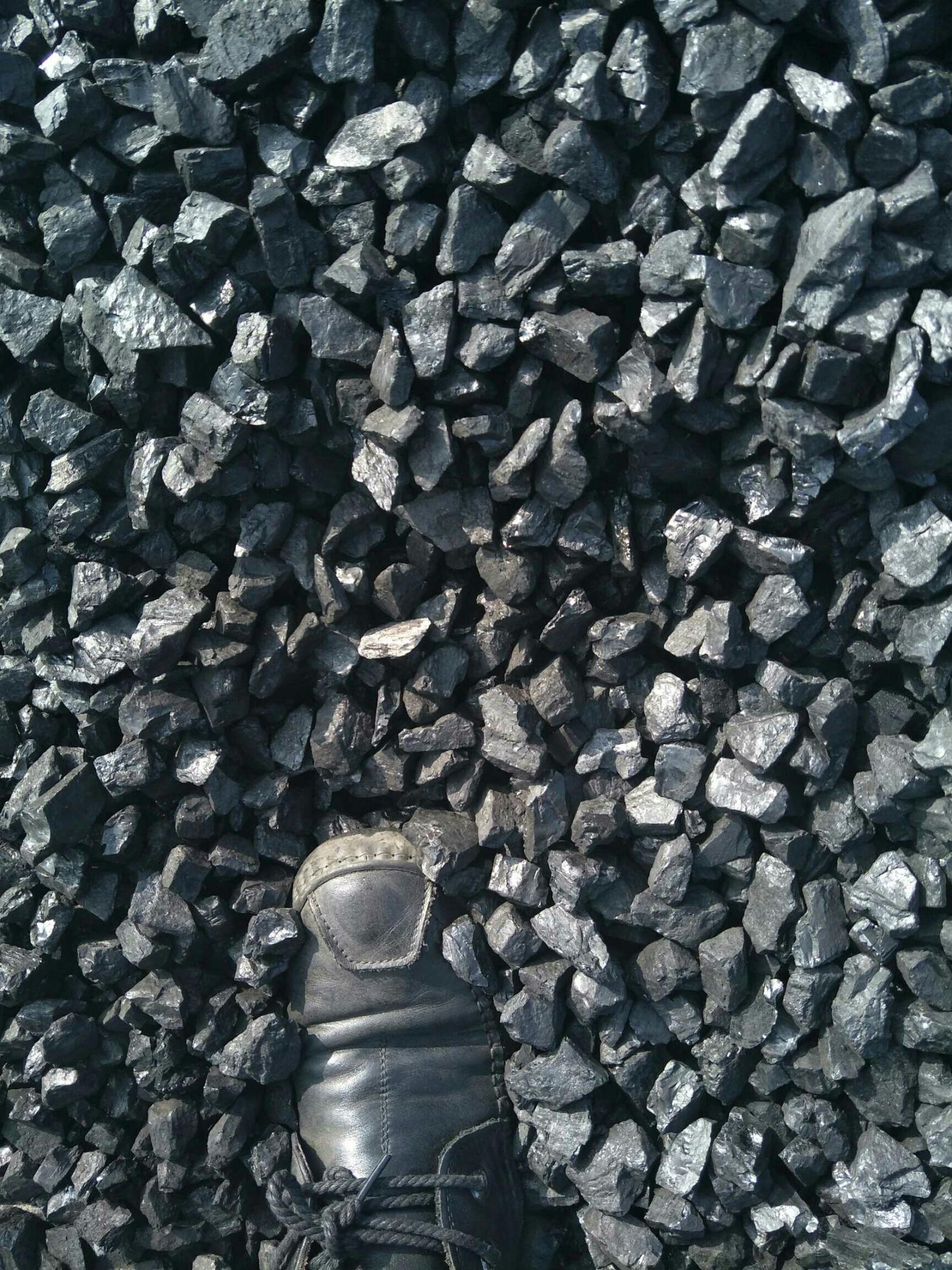 大柳塔,李家畔,武家塔,温家塔,马泰壕,红庆河煤炭价格